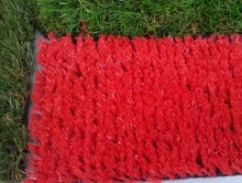 Kırmızı Çim Halı | Çim Halı | Associated Carpets
